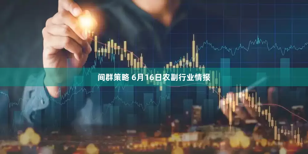 间群策略 6月16日农副行业情报
