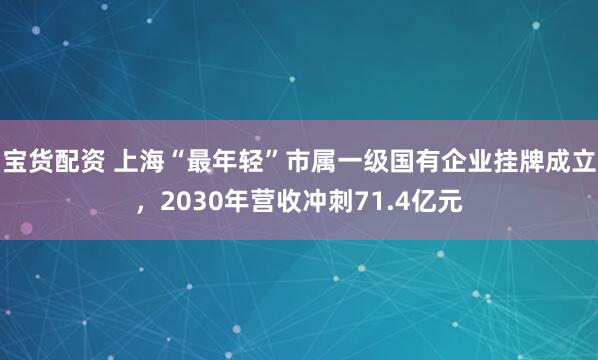 宝货配资 上海“最年轻”市属一级国有企业挂牌成立，2030年营收冲刺71.4亿元