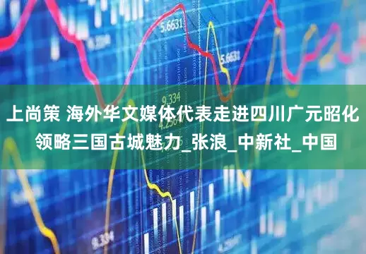 上尚策 海外华文媒体代表走进四川广元昭化 领略三国古城魅力_张浪_中新社_中国