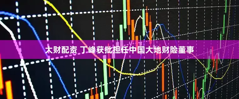 大财配资 丁峰获批担任中国大地财险董事