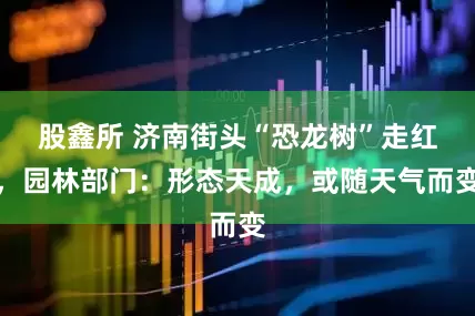 股鑫所 济南街头“恐龙树”走红，园林部门：形态天成，或随天气而变